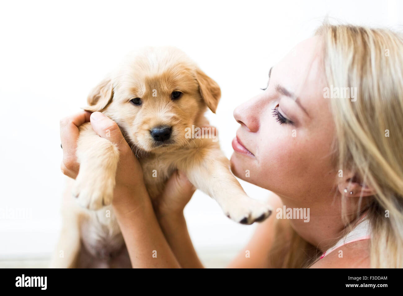 Portrait de chiot Golden Retriever avec propriétaire Banque D'Images