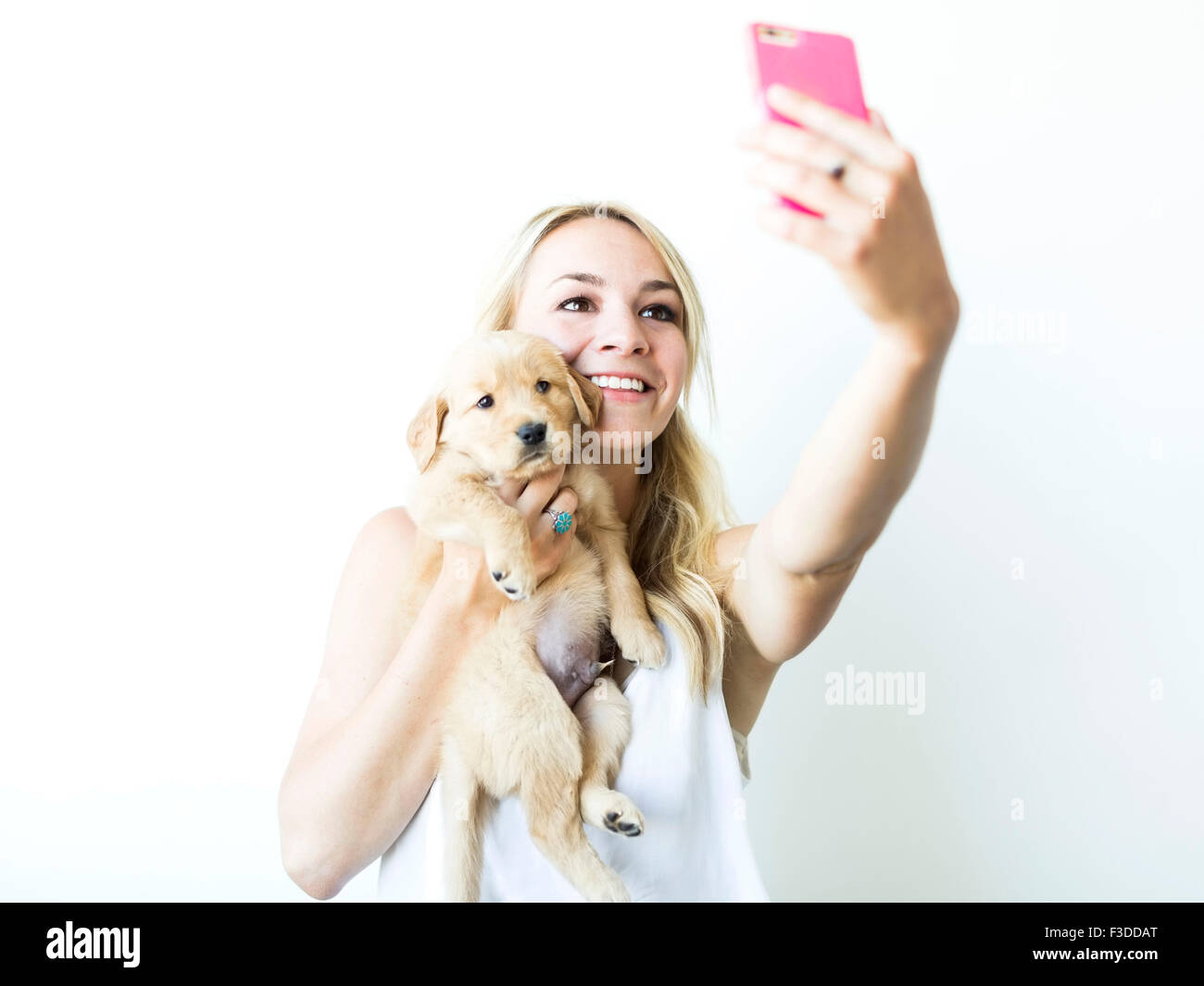 Studio shot of woman photographing soi avec le chiot Golden Retriever Banque D'Images