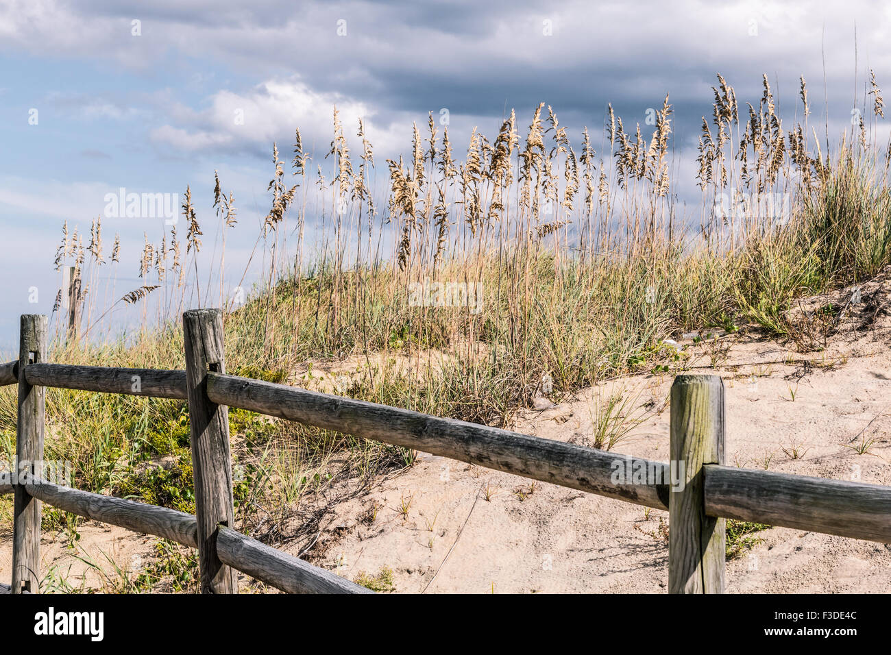 Clôture avec Beach Grass et dunes à Sandbridge Banque D'Images