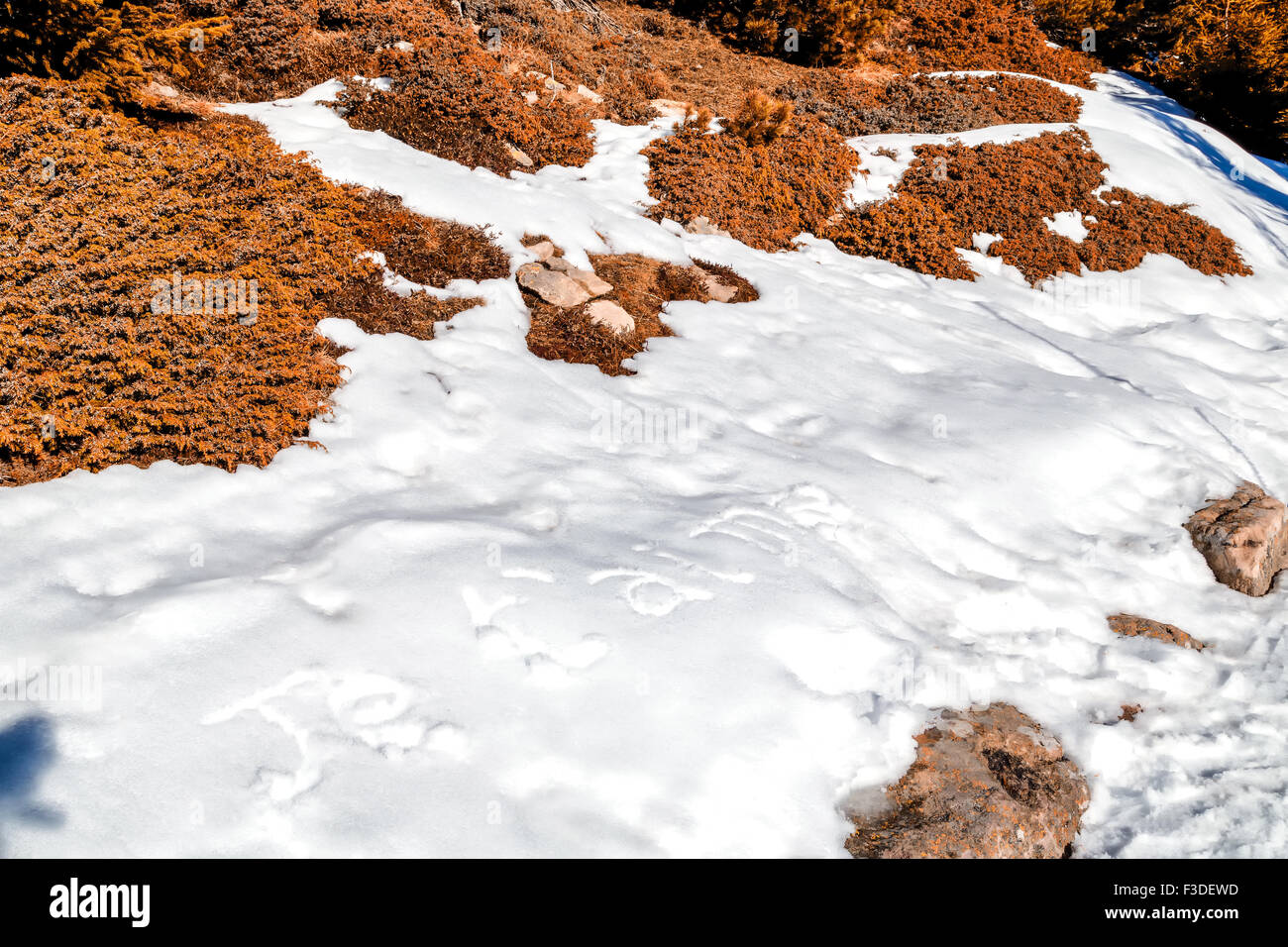 Je t'aime, Français phrase inscrite en lettres majuscules sur du blanc de la neige alors que brown les mauvaises herbes et la mousse dans l'avant-plan Banque D'Images