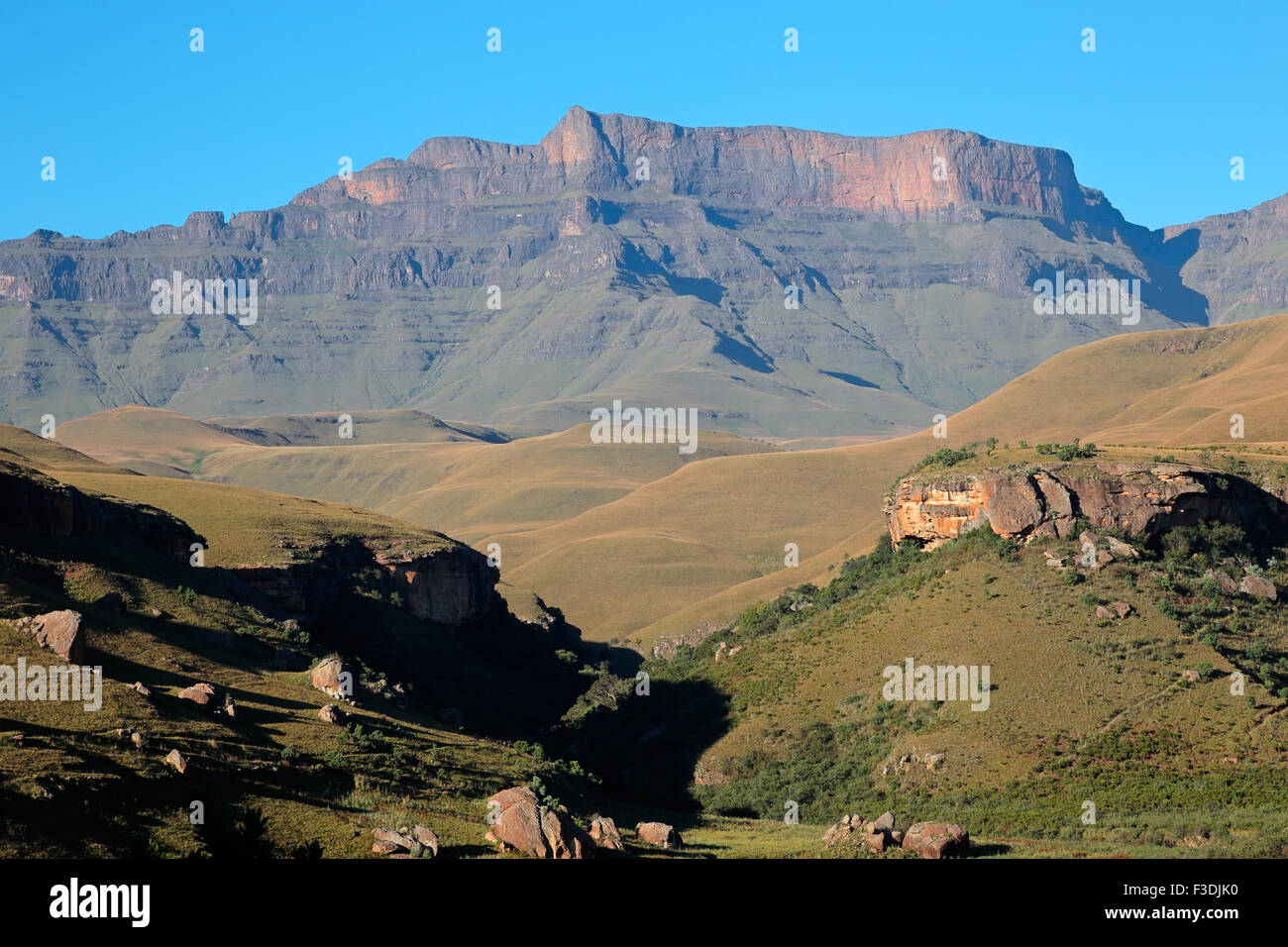 Superbe paysage de montagne du Drakensberg, géants Château nature reserve, Afrique du Sud Banque D'Images