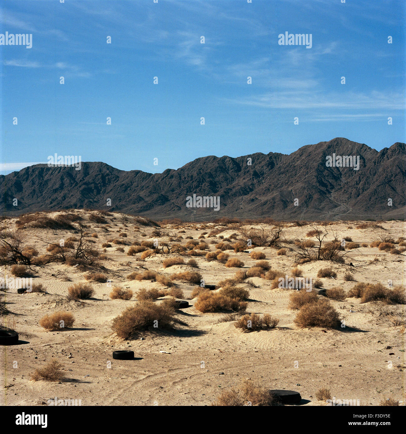 Désert jonché de pneumatiques Banque D'Images