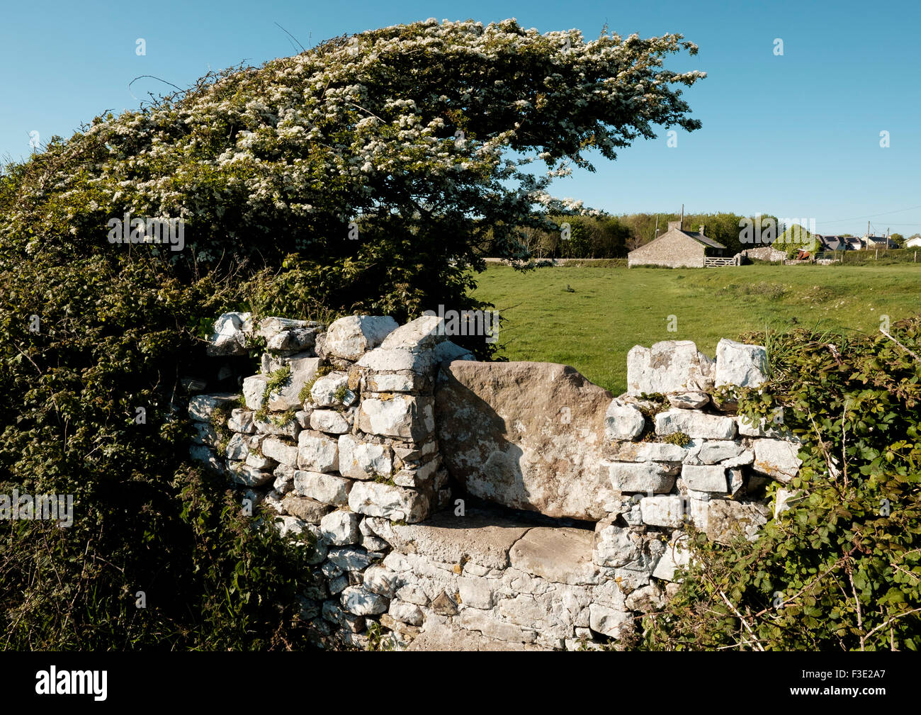 Juste à côté de la côte du Glamorgan, Pays de Galles, Royaume-Uni Banque D'Images