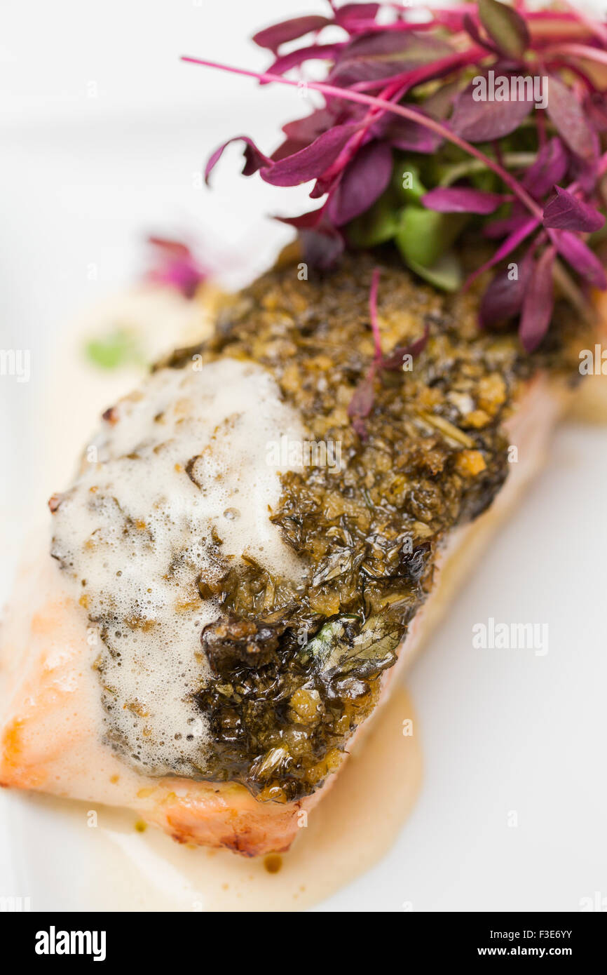 Salmon de poudre d'Épices et fines herbes avec des pousses de radis pourpre Banque D'Images