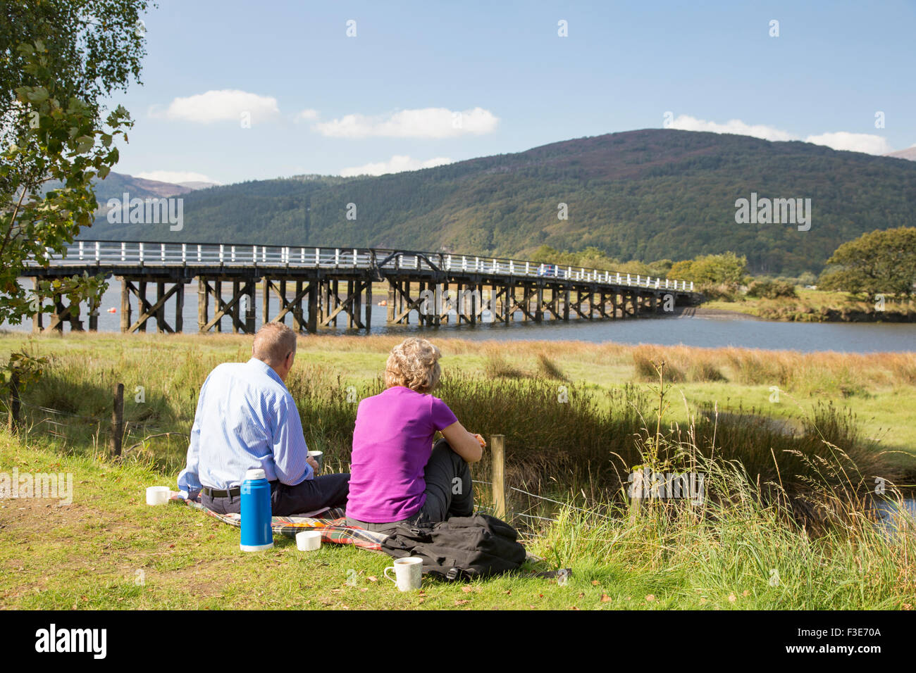 Profiter de la vue de l'estuaire de Mawddach près du pont à péage en bois historique à Penmaenpool, Gwynedd, Pays de Galles. Banque D'Images