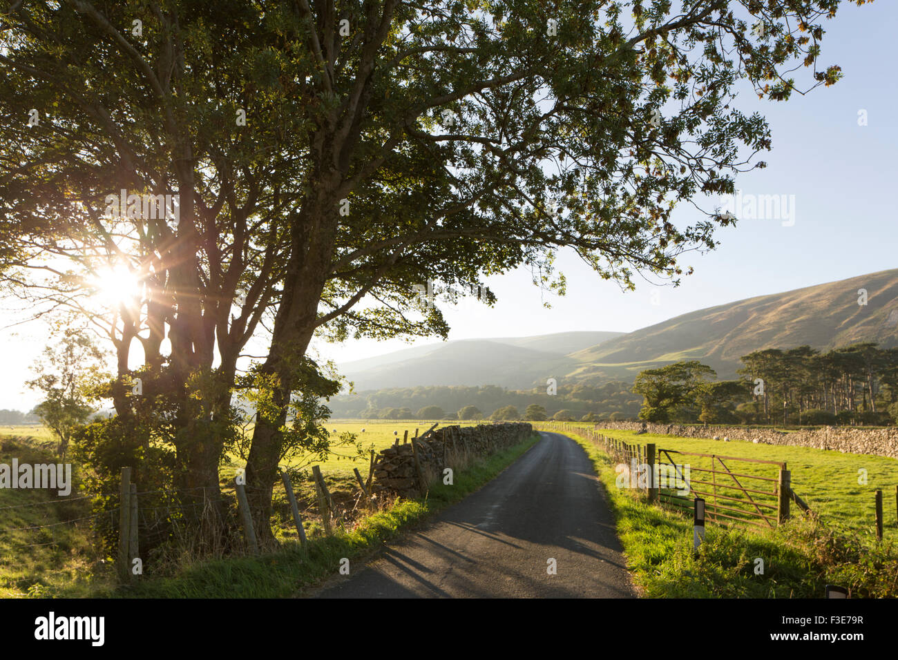 Coucher de soleil sur un chemin de campagne Anglais, Angleterre, Royaume-Uni. Banque D'Images