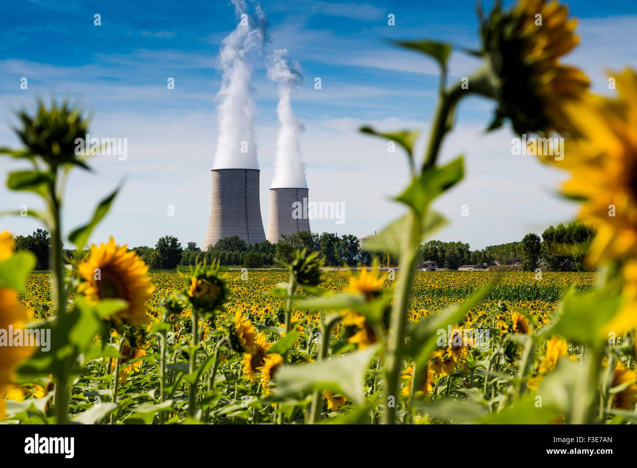 Centrale nucléaire de Golfech champ de tournesols Tarn et Garonne France Europe Banque D'Images Centrale nucléaire de Golfech champ de tournesols Tarn et Garonne France Europe Banque D'Images