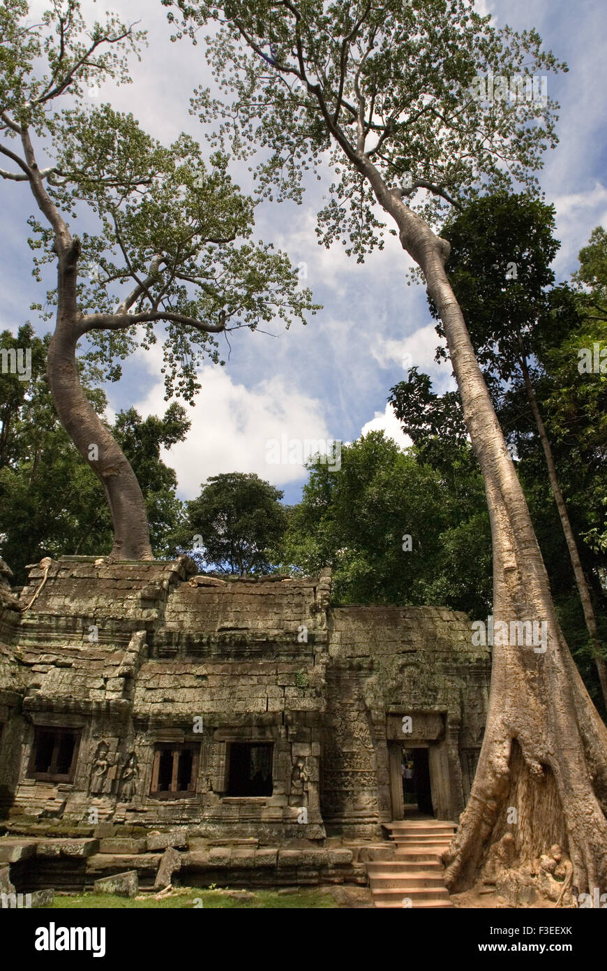 Ta Prohm Temple. Ta Prohm son état de ruine est un état de la beauté, qui est étudié avec délice et quitté avec regret. Ta Pro Banque D'Images