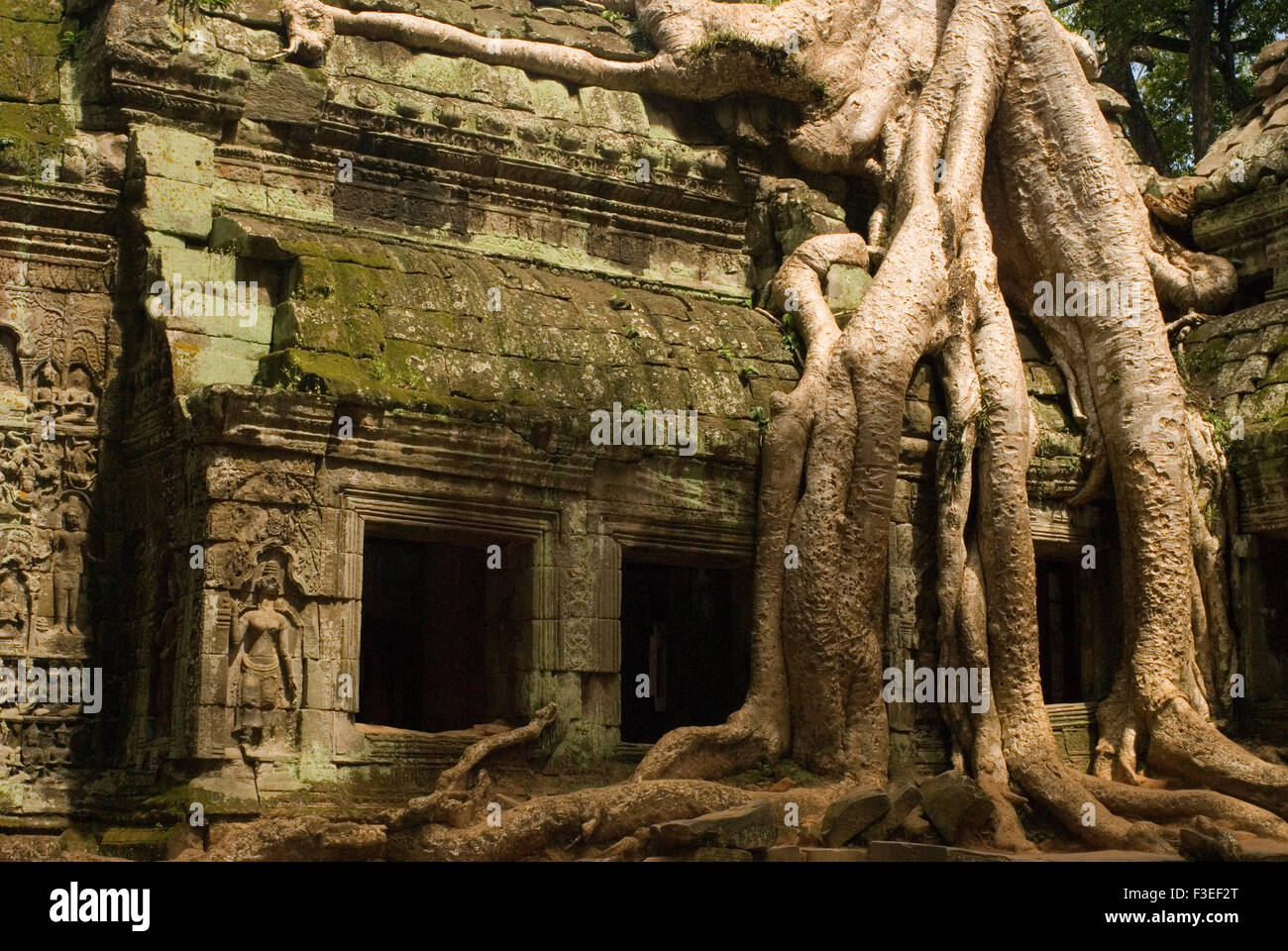 Ta Prohm Temple. Ta Prohm est aussi séduisante que Lara Croft. Le site de certains de ses aventures cinématographiques, c'est une série de the ga Banque D'Images