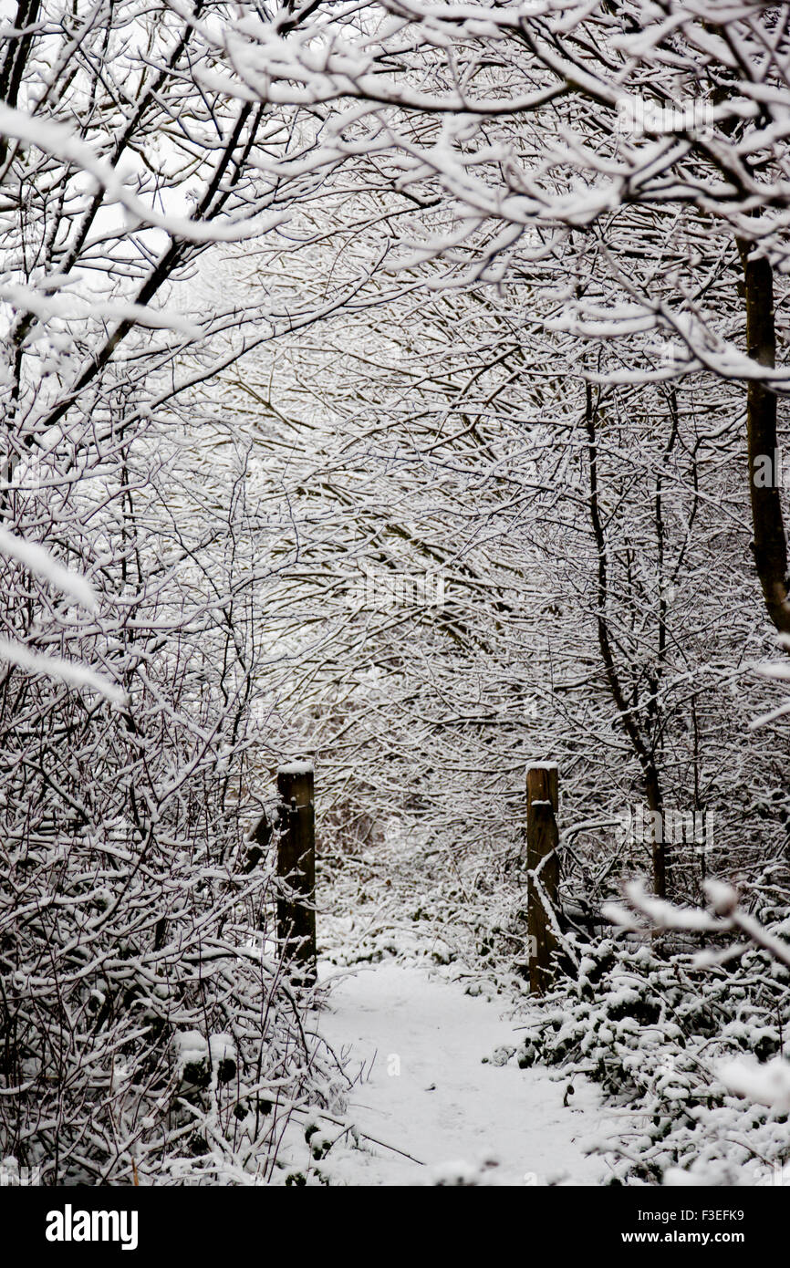 Gate dans une scène de la neige dans le Yorkshire, England UK Banque D'Images