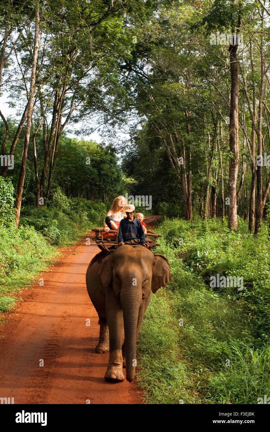 Village de promenades à dos d'éléphant. Kateung Voyager avec des enfants. Ratanakiri. Ratanakiri : province de l'aventure l'un des plus populaires Banque D'Images