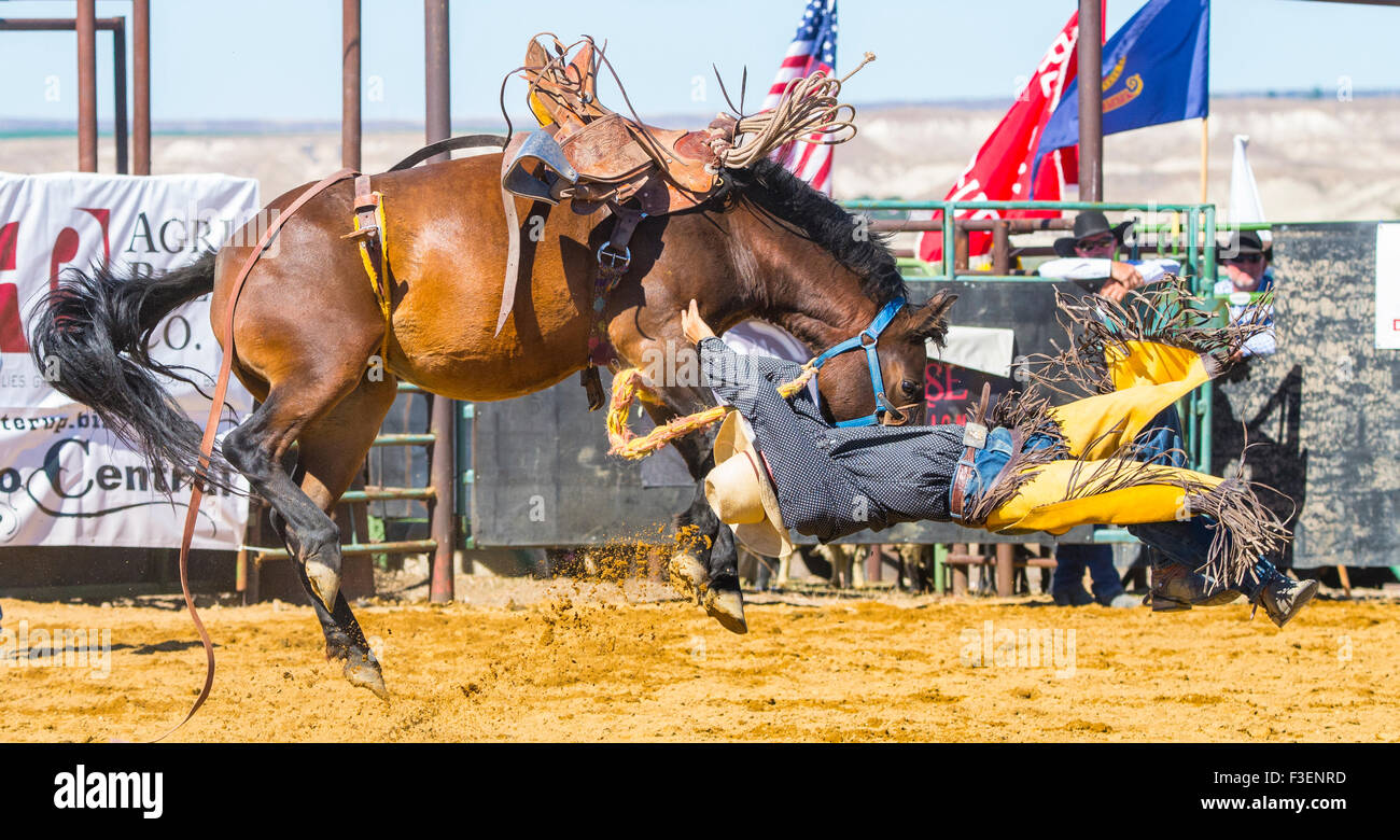 Rodeo's, Bruneanu Round-Up, Wild Ride, saddle bronc riding, Bruneau, California, USA Banque D'Images