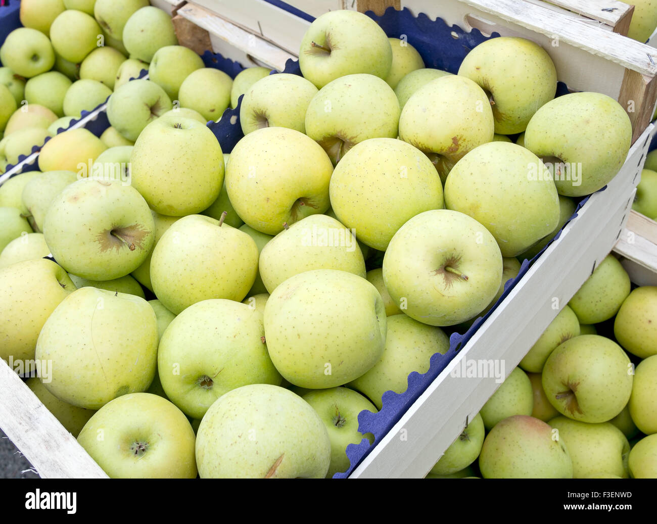 Manger des pommes Golden Delicious, fraîchement cueilli et paniers au marché des producteurs. En gros, en vrac. Banque D'Images