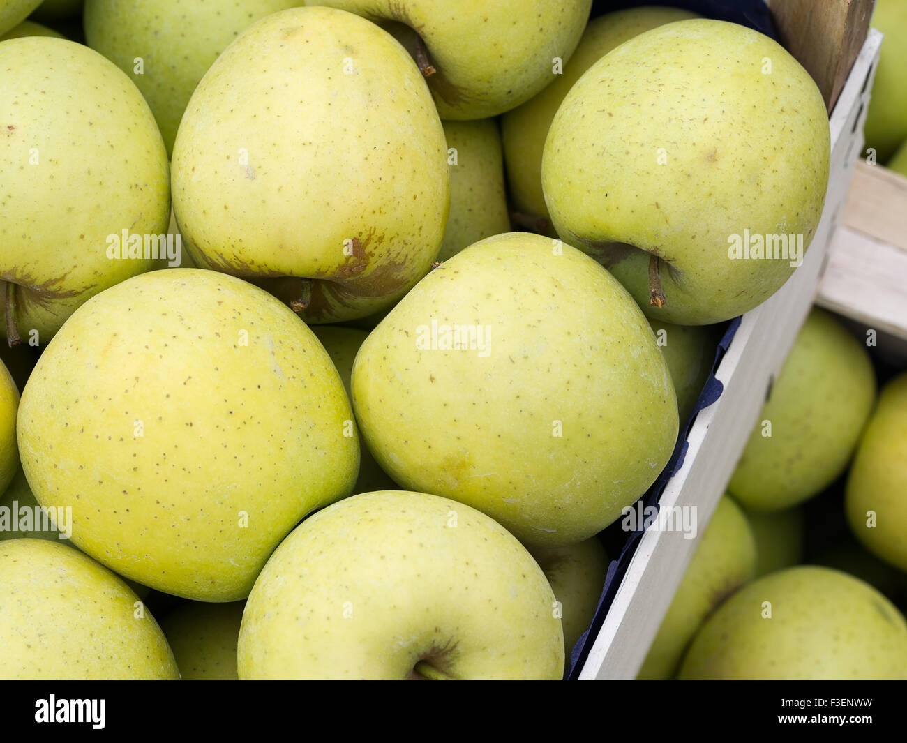 Manger des pommes Golden Delicious, fraîchement cueilli et paniers au marché des producteurs. En gros, en vrac. Banque D'Images