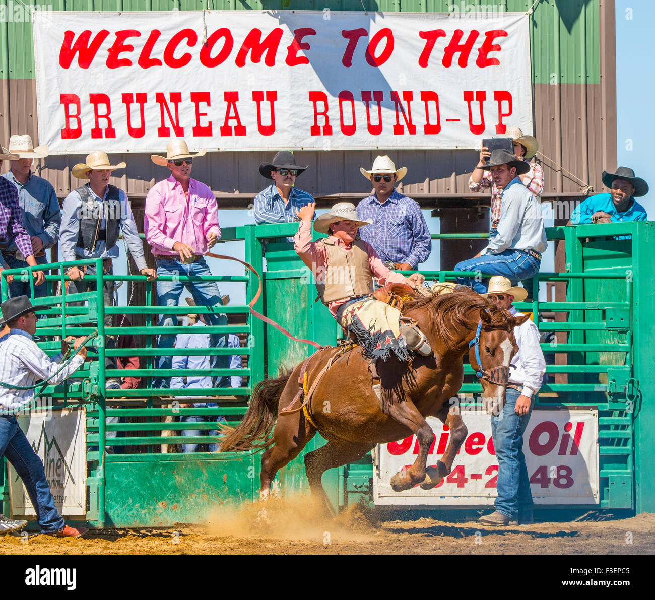 Rodeo's, Bruneau Round-Up, saddle bronc riding, Bruneau, California, USA Banque D'Images