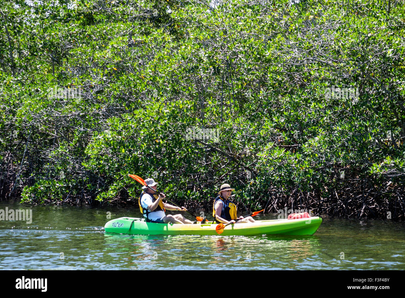 Key Largo Florida Keys,John Pennekamp Coral Reef State Park,Largo Sound,South Creek Water,Red mangrove,kayak,kayakistes,adultes homme hommes,femme Banque D'Images