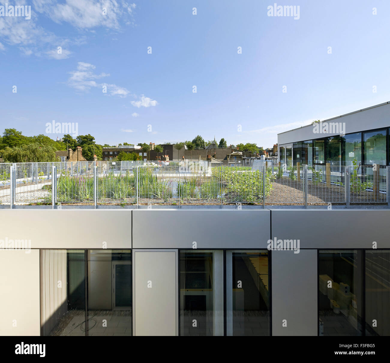 Jardin sur le toit. L'École d'architecture de Greenwich, Londres, Royaume-Uni. Architecte : Heneghan Peng architectes, 2015. Banque D'Images