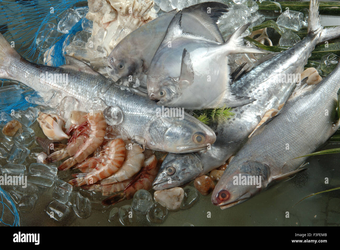 Non végétariens ; fruits de mer ; poissons morts pomfret gambas Banque D'Images