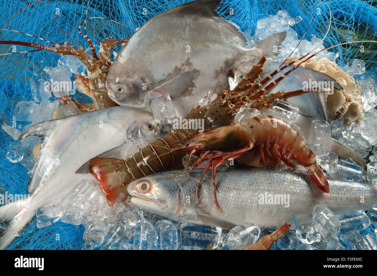 Non végétariens ; fruits de mer ; poissons morts pomfret gambas homards Banque D'Images