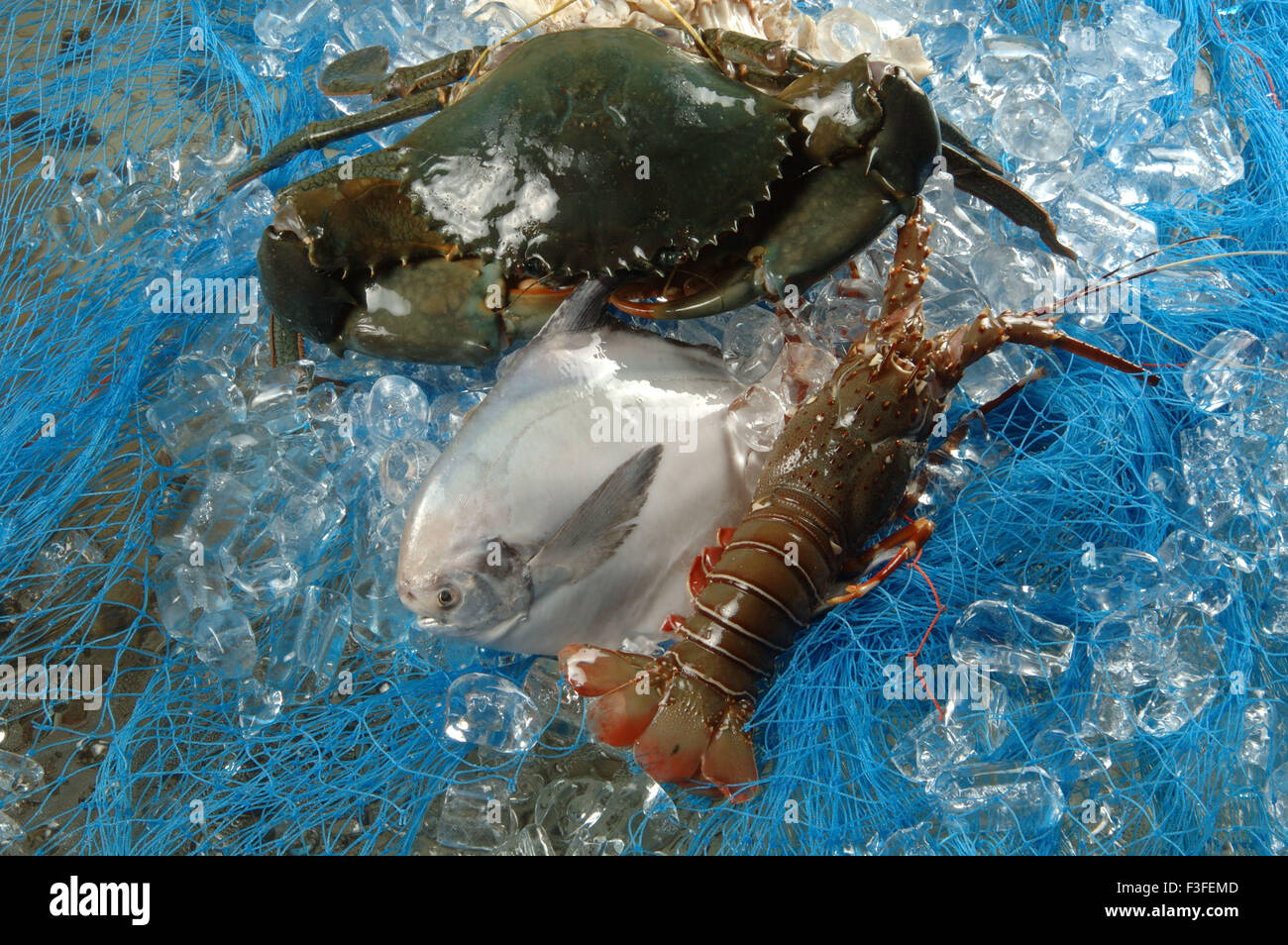 Non végétariens ; fruits de mer ; poissons morts pomfret gambas homards Banque D'Images