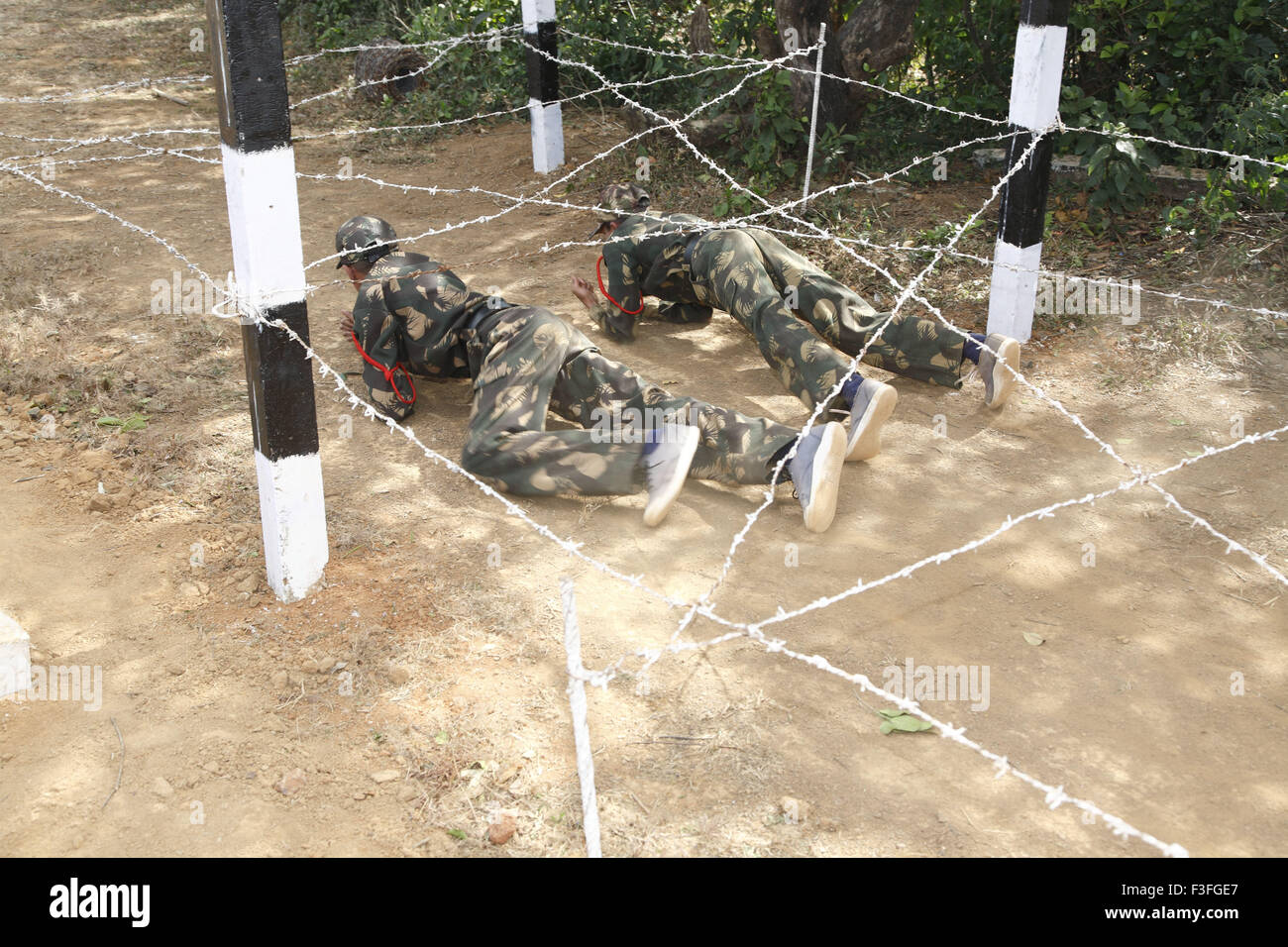 Obstacles Commando ; formation cadets ramper sous les barbelés ; l'école militaire ; Amboli Sindhudurga ; district Banque D'Images
