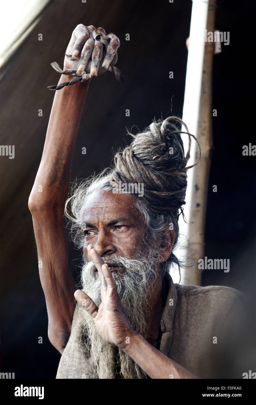 Un sadhu tenez une de sa main en tant que partie de sa pénitence à Dieu à son camp lors d'Ardh Kumbh Mela ; ; ; Inde Banque D'Images