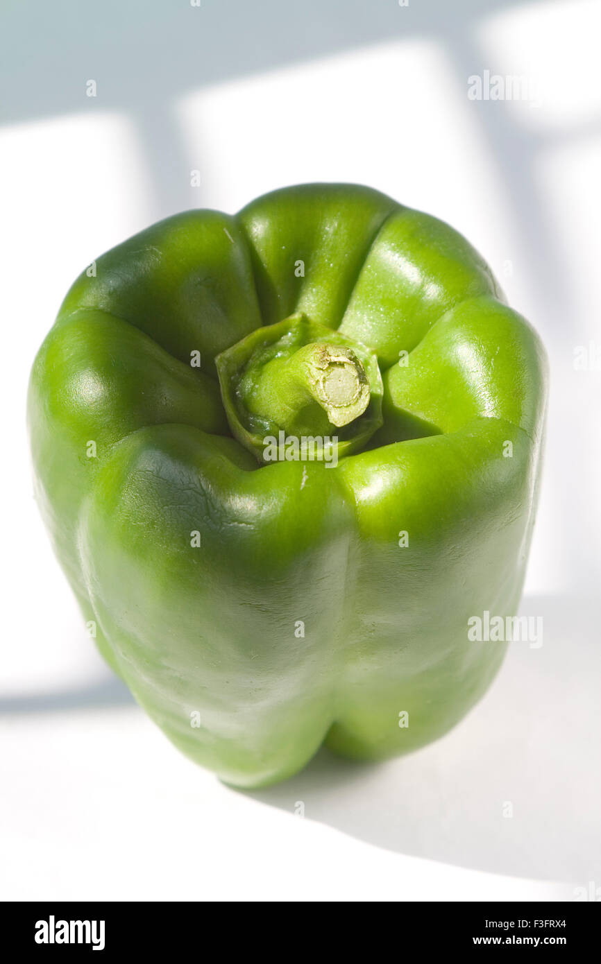 Capsicum, poivron vert, poivre vert, piment poivron, fond blanc Banque D'Images