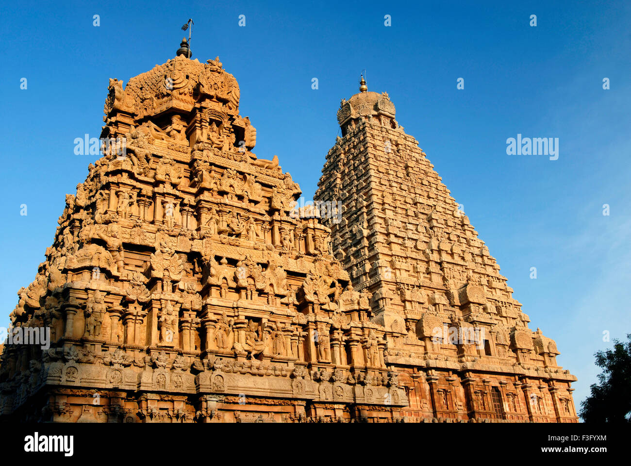 Le temple de Brihadishvara temple Chola du 10ème siècle est classé au Patrimoine Mondial de l'UNESCO ; Thanjavur ; Tamil Nadu Inde ; Banque D'Images