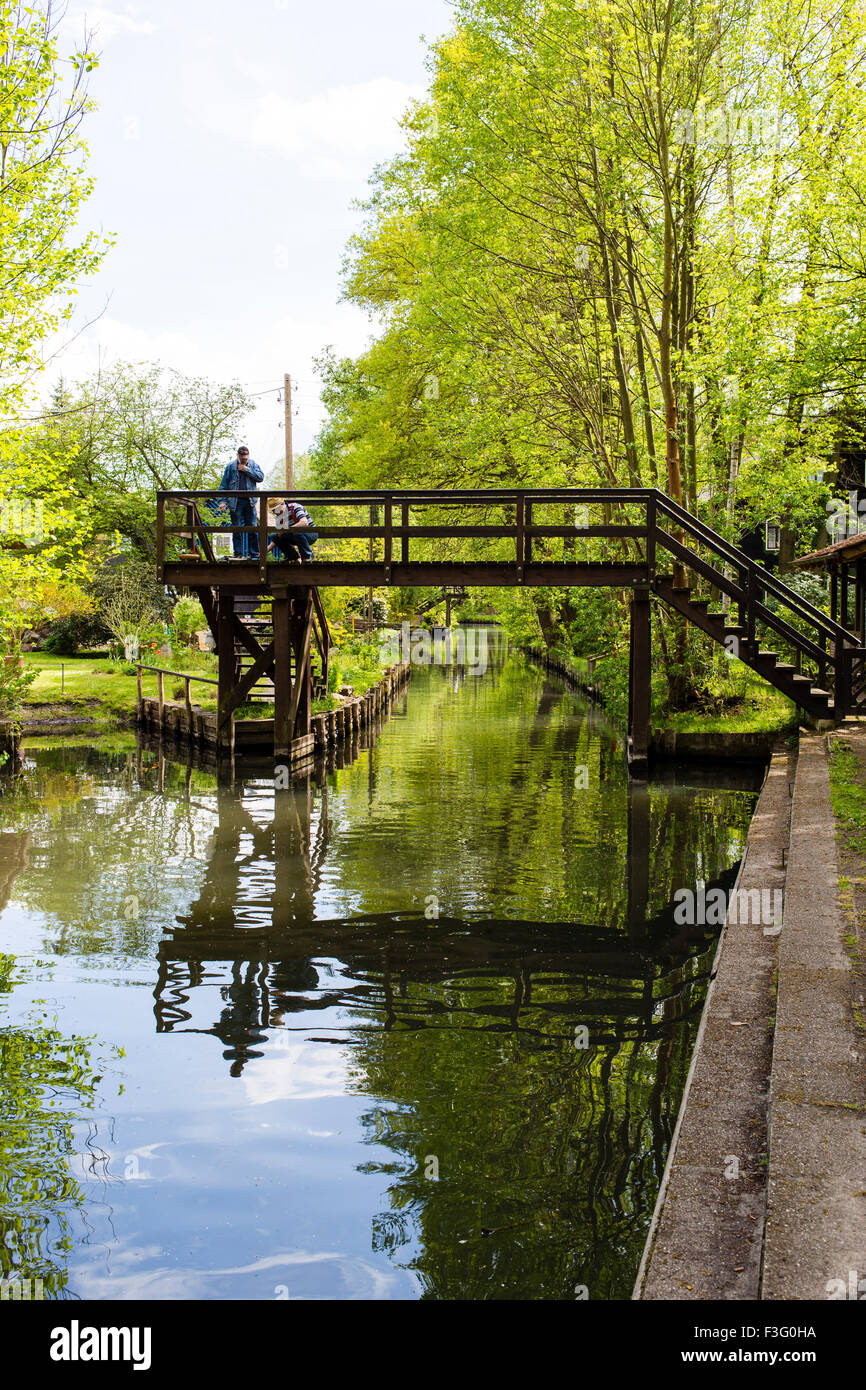 Cadre idyllique et vert d'eau de la Spreewald du canal dans le Brandebourg, Allemagne Banque D'Images