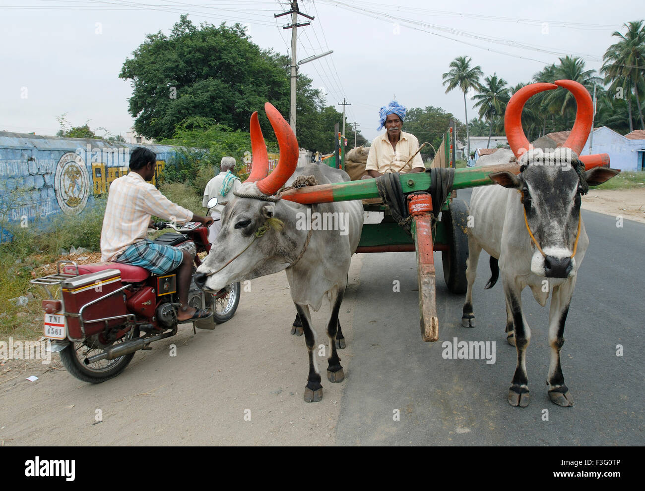 Chariot Bullock sur la route , Kerala , Inde , Asie Banque D'Images