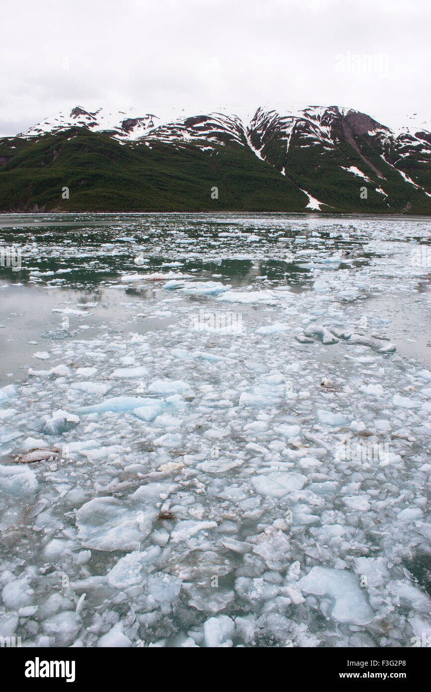 Iceberg près de Alaska glacier Hubbard ; Saint Elias national park ; Alaska baie Déception U.S.A. Banque D'Images