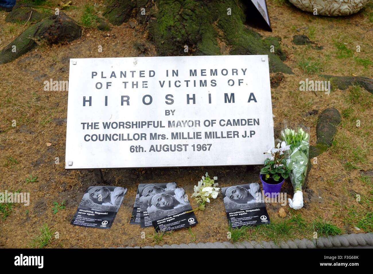 Tenue à la Memorial Hiroshima Cherry Tree in Tavistock Square comprend : Atmosphère Où : London, Royaume-Uni Quand : 06 août 2015 Banque D'Images