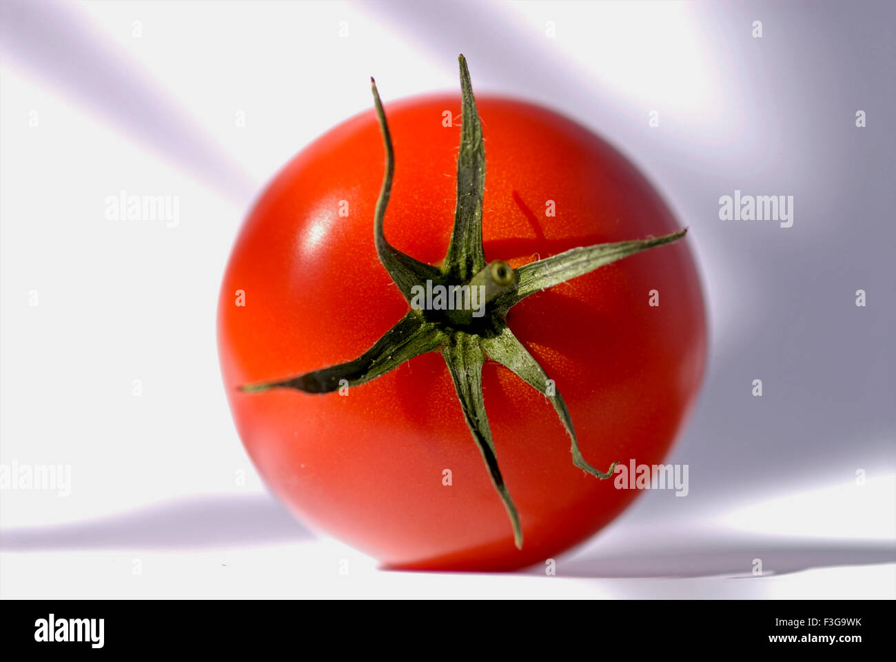 Tomate sur fond blanc ; Londres ; Royaume-Uni Royaume-Uni Angleterre Banque D'Images