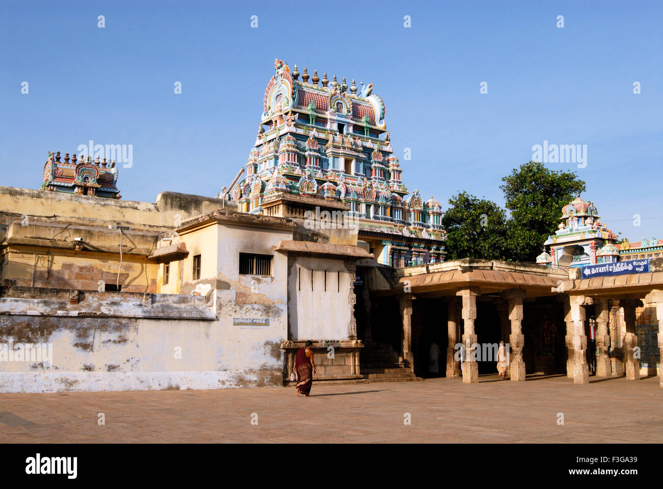 Gopuram et piliers richement sculptés d'Dhanvanthri (dieu de la médecine) au temple Sri Ranganathswami ; ; Trichy Tiruchirappalli Banque D'Images