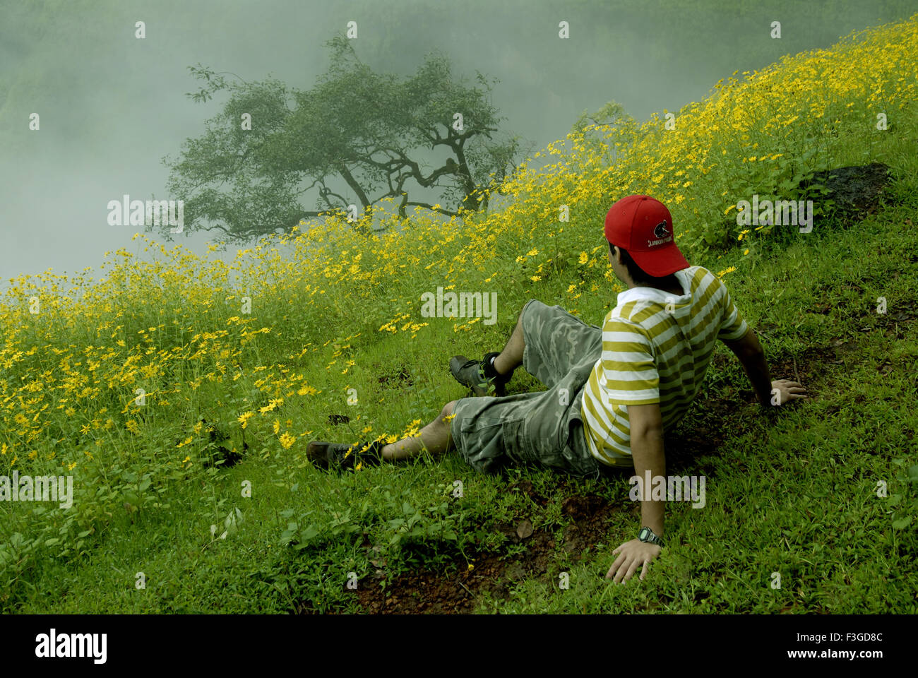 Boy enjoying matin brumeux Western Ghats Sahyadri Vallée de montagne fleurs jaune Matheran Thane Maharashtra Banque D'Images