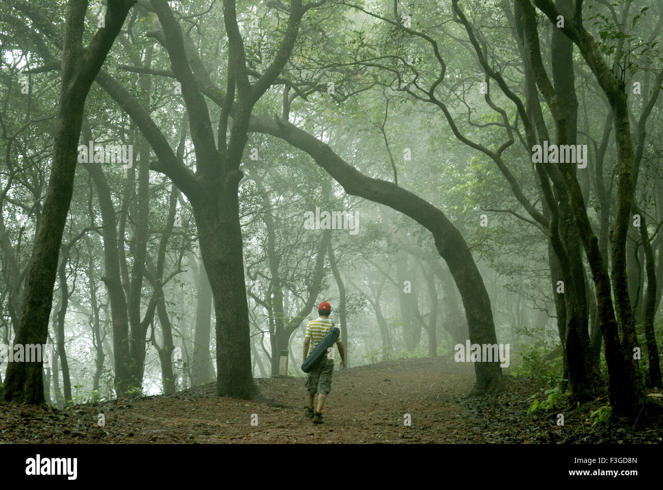 En passant par l'épaisse forêt brumeuse à Matheran Thane district ; Maharashtra Inde ; Asie ; Banque D'Images
