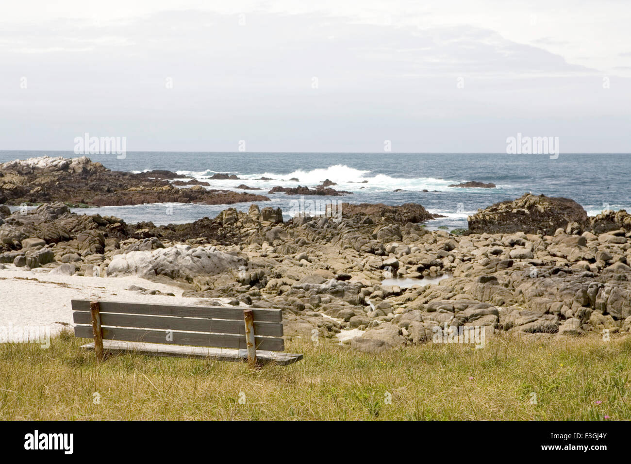 Un banc sur la plage de l'océan pacifique rocheuses sur la côte ouest de États-Unis États-Unis d'Amérique Banque D'Images