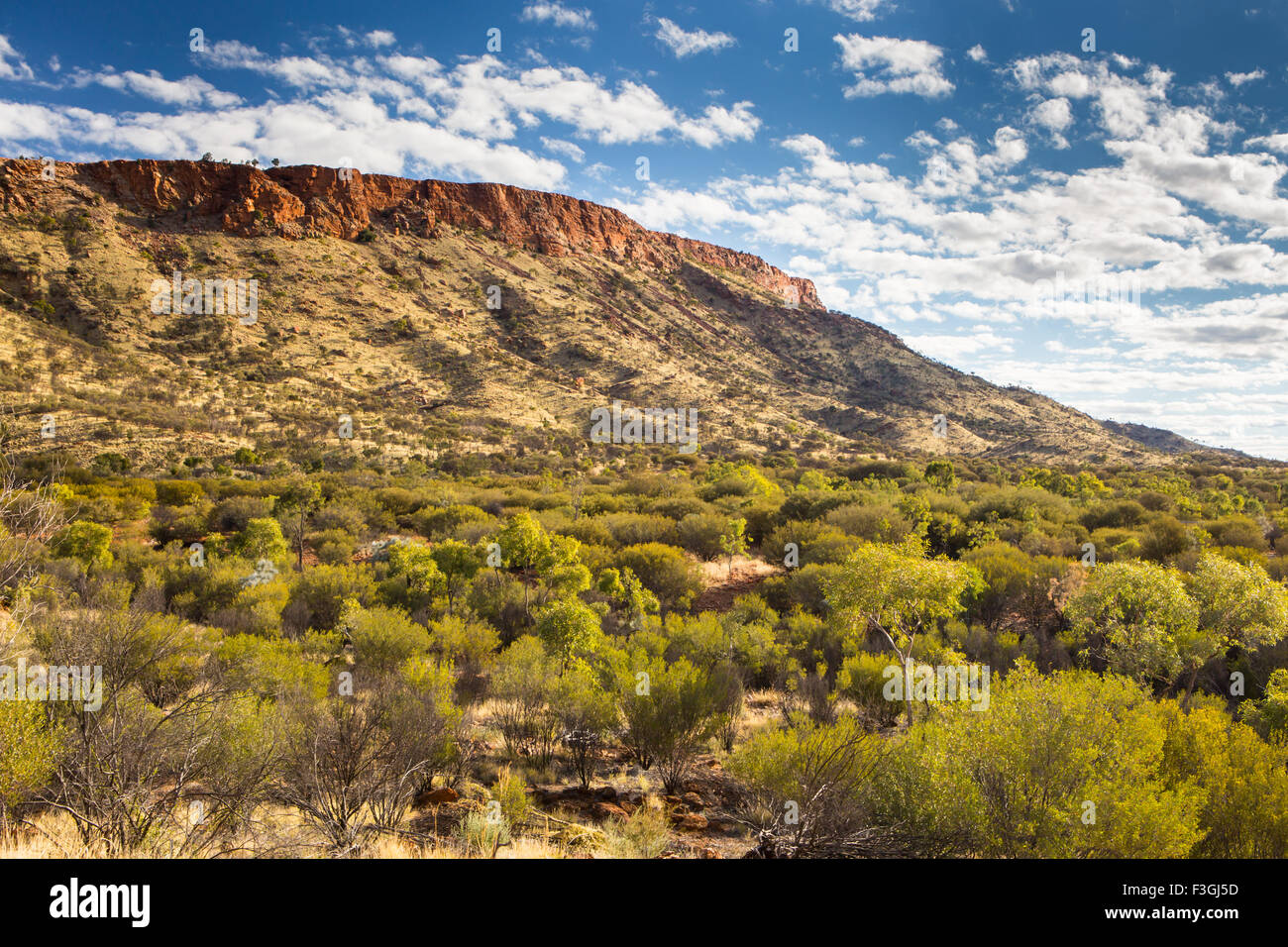 La vue sur le bush vers le Mont Gillen près d'Alice Springs, Territoire du Nord, Australie Banque D'Images