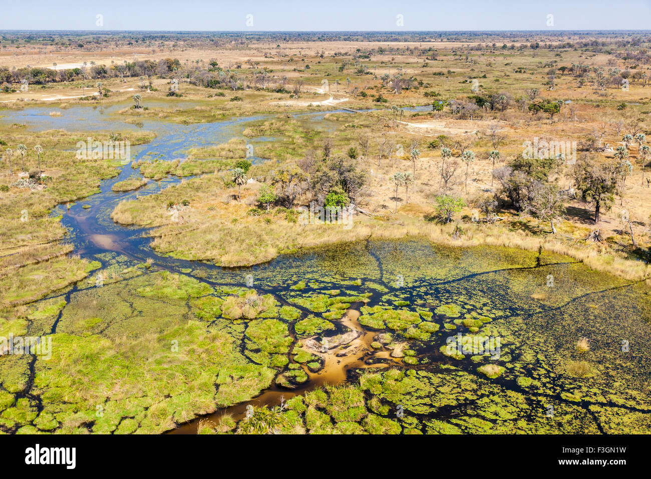 De l'air paysage Safari : vue aérienne sur le Moremi et rivières, Okavango Delta, Kalahari, le nord du Botswana, Afrique australe Banque D'Images