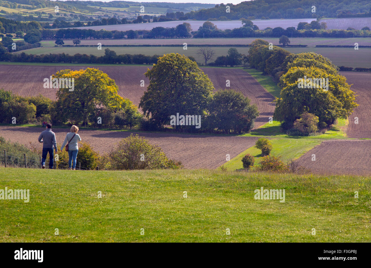 Marche sur Ivinghoe Beacon Buckinghamshire Chilterns Banque D'Images