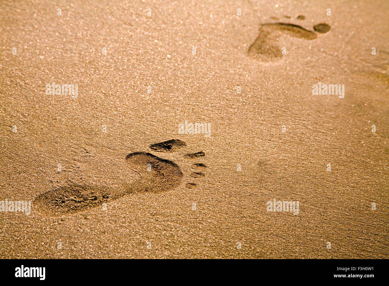 étoile De Mer Plage Imprimer Lété Sable Blanche Des