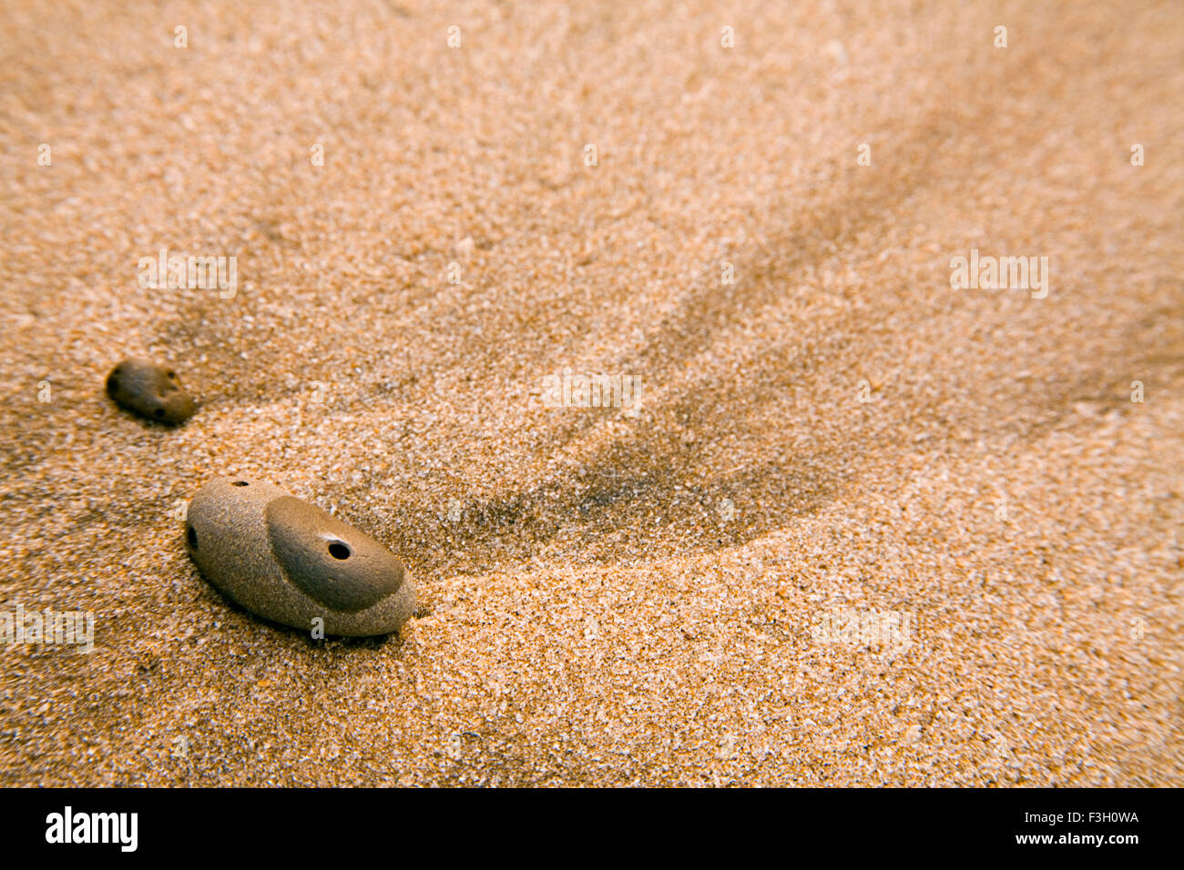 Courbe de créativité et la forme et la texture du sable modèle rock art photographique ; plage ; Aksa Malad Mumbai Banque D'Images