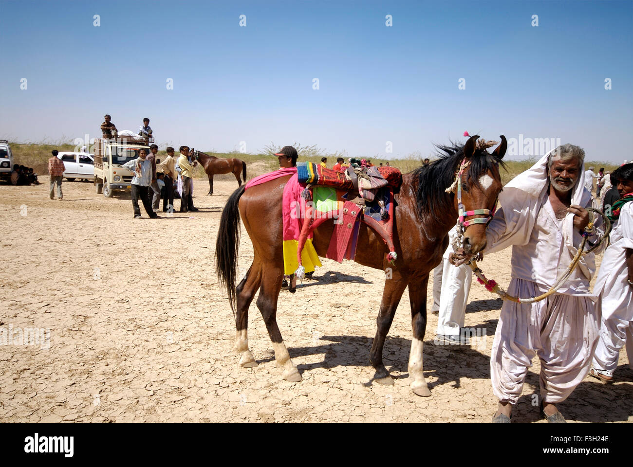 Un cavalier, montre son cheval à Shivratri juste ; ; ; Inde Gujarat Kutch Banque D'Images