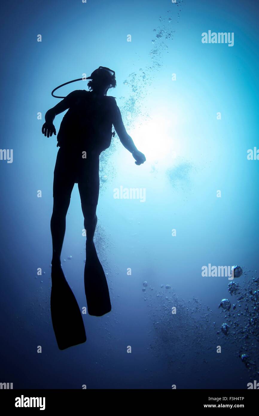 Silhouette d'homme de plongée sous marine dans l'océan, Bali, Indonésie Banque D'Images