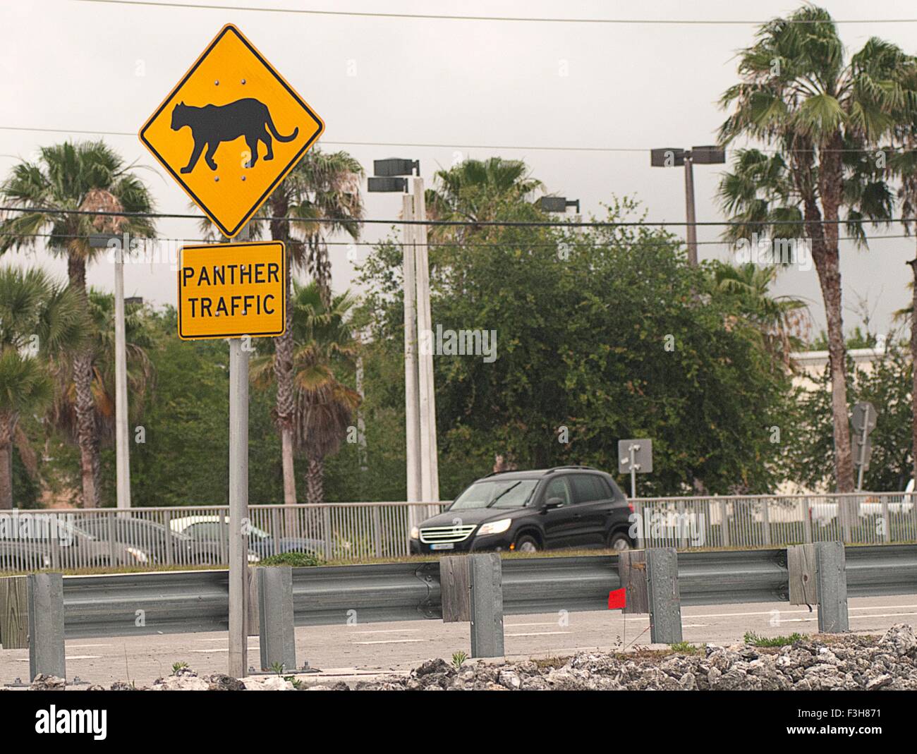 Panther signe d'avertissement de passage à niveau le long d'une route, Naples, Florida, USA Banque D'Images