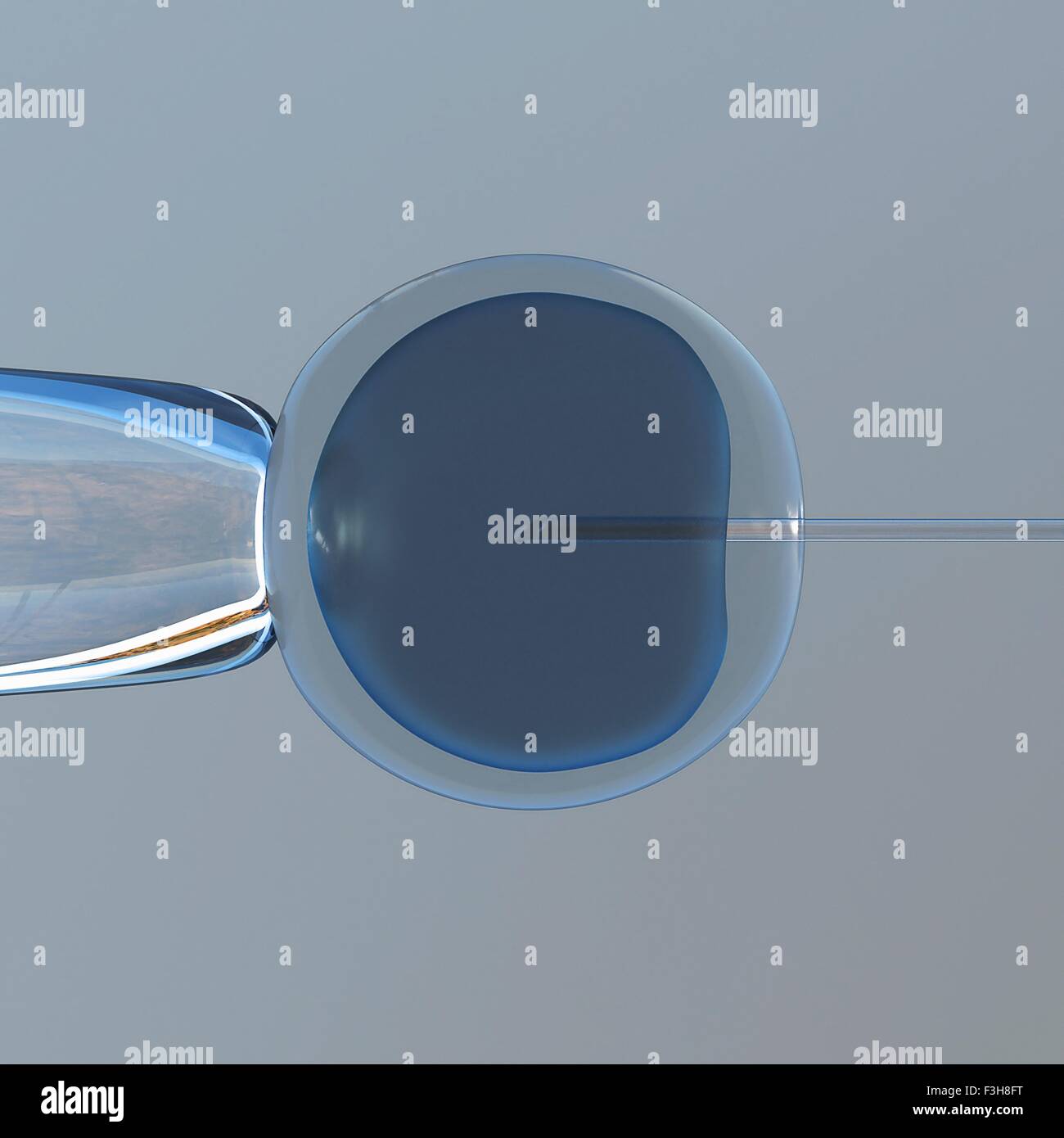 La fécondation in vitro. 3D illustration d'un clonage in vitro assay Banque D'Images