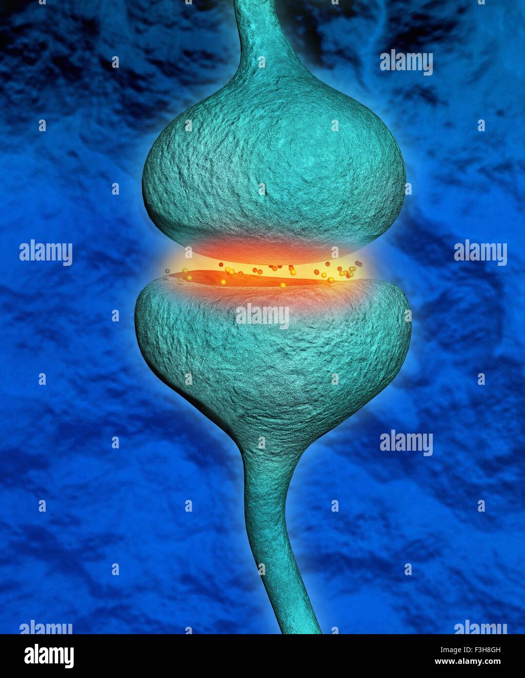 Illustration 3D d'une synapse entre deux neurones Banque D'Images