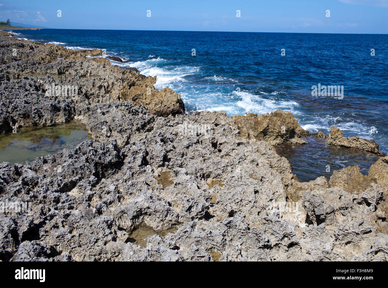 La côte de corail. La Jamaïque. Banque D'Images