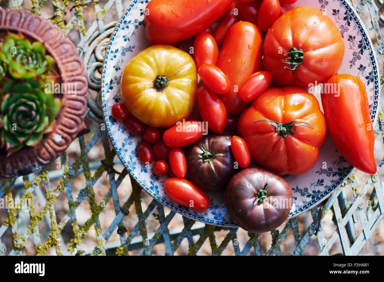 Sélection de différentes tomates, overhead view Banque D'Images