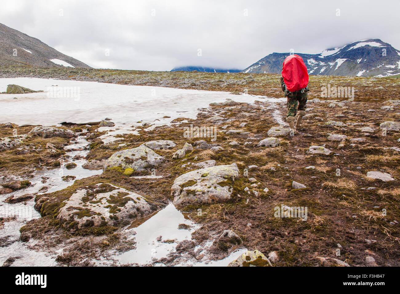 Vue arrière du jeune homme randonnée dans le paysage gelé, Oural, Russie Banque D'Images